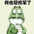 狐貍象