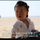 大葱宝