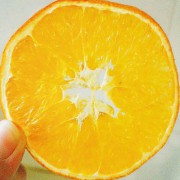 橙子w