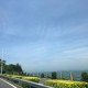 陈抒囧情