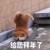 每一个梦