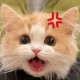 歐尼醬丶