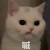 绮韵