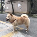 毓慶