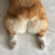 夏至.