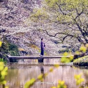 布鲁斯海