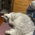 黑酷酷
