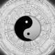 小蝼蚁