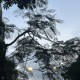 此时海4yy