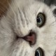 XB_1JBzHWuPI