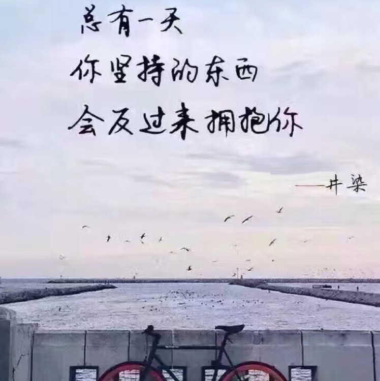 shushouping封面